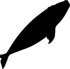 Right Whale Silhouette Digital Sketch Svg Design, Free Vectors File